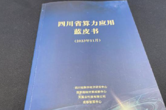 图片 《四川省算力应用蓝皮书》发布 全省算力总规模发展迅速-脉山龙.png